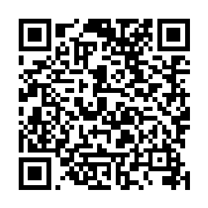 但是不代表他就会因为和沈奇之间的关系对雨佳付出什么二维码生成