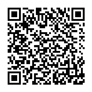 但是九幽圣地的一众人在老者出现的瞬间一个个也顿时平静了下来二维码生成