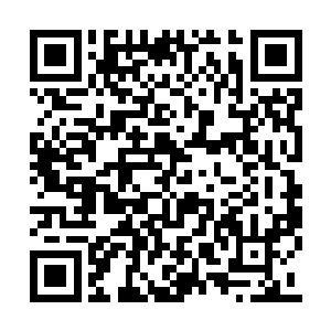 但是也不希望他把自己的大哥绑在试验台上切割二维码生成