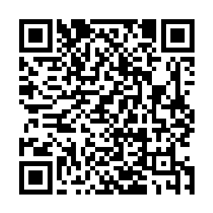 但是也曾耳闻李奇在四国宴上以菜作画夺得金刀厨王的称号二维码生成