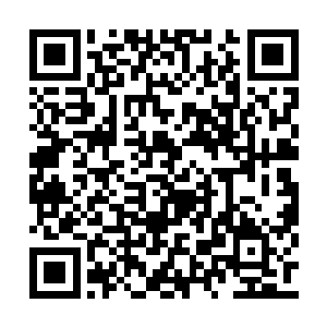 但是也正是因为经历过了所有才更加的觉得可怕二维码生成