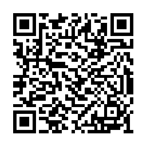 但是也没忽略了莫小鱼刚刚和杜曼雪打招呼的事二维码生成