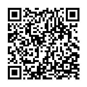 但是也没有听说过死亡森林里面会出现雪狼这样的生物二维码生成