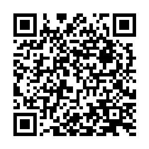但是也绝不会相信姬可馨所说的是莫小鱼让姬可馨来的这事二维码生成