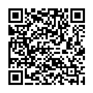 但是也通过宇宙网了解到了昊天域界内发生的事情二维码生成