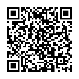 但是于公于私他也没有义务要在这上边帮周明光什么二维码生成