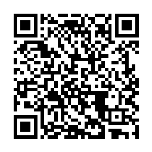 但是他与神树之间却产生了一种若有若无的密切联系二维码生成