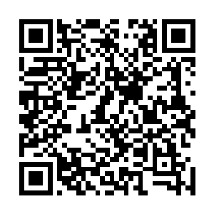 但是他从楚耀澜那里获知邵书记似乎有意要让洛门地委委员二维码生成