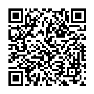 但是他们也从来没有同时见过这么多玄阶的十足丹二维码生成