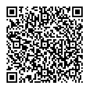 但是他们也知道这种克制是要等雨族族长将上元大陆的修士带出来之后才能够确定事情是否真的像好的方面发展二维码生成