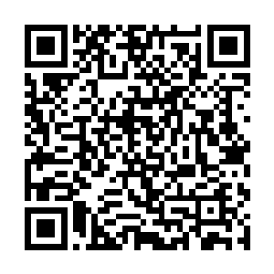 但是他依然被马文恐怖的气势和强悍的刀术给吓到了二维码生成