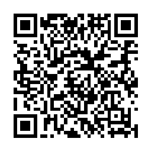 但是他却清楚地知道冷清贞如今的灵魂并没有修复二维码生成