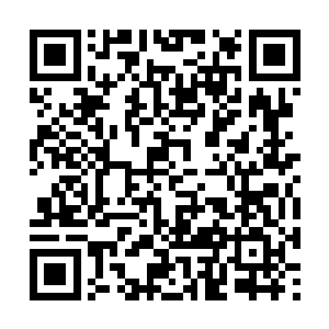 但是他的这些小弟可以说是让所有人全都大跌眼睛二维码生成