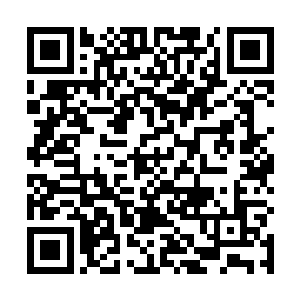 但是他给他们布置的任务细节却是根据另一个惩戒营的二维码生成