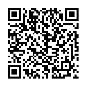 但是他还是忍不住每过几秒钟都去看一下手机有没有短信二维码生成
