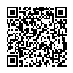 但是仙主的神识此时虽然不如许紫烟的元神强大二维码生成