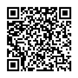 但是仙农洞府的主人和张潇晗的关系必定十分密切二维码生成