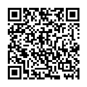 但是任琦宁穿着北境游牧民族的服饰却没有半点为何二维码生成