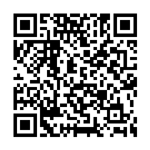 但是你也知道我们的收费价格一向高于其他公司二维码生成