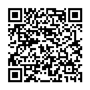 但是你确定要把白奇雪和小秋其中一个人扯进来吗二维码生成