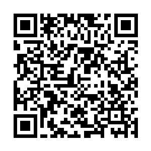 但是依旧能清晰的感应出来它此刻的状态不是很好二维码生成