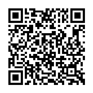 但是偏偏她自己烤的就是远远不如林烽烤的好吃二维码生成