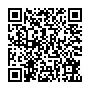 但是偶然间看到过电视上播放哪里大白菜滞销了二维码生成