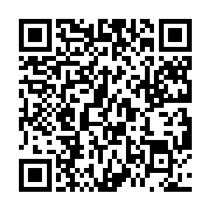 但是儿子昨天晚上的时候跟自己是差不多时间入睡的二维码生成