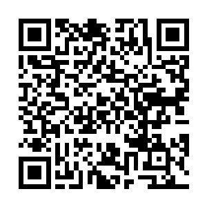 但是先前的时候丁主任脸上面的表情可以说是风雨不动二维码生成