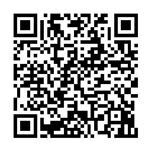 但是凌菲也知道雪狼母子不能长期生活在部落里二维码生成