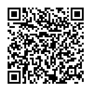 但是刚刚师傅那一个耳光多少也让她明白了自己之前的作为可能是错了二维码生成