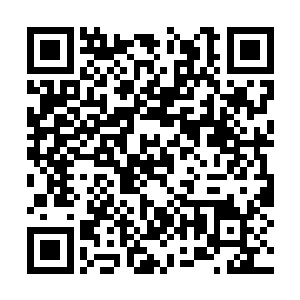 但是刚南宫流云拍出绿晶原石灵气给她吸收的时候二维码生成