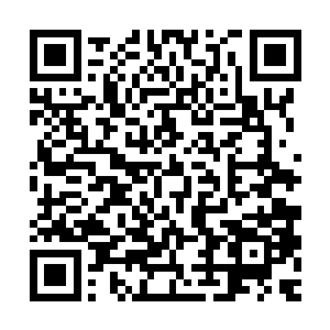 但是制度性的设计又让民盟在当前的局面下不太可能有多大斩获二维码生成