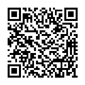 但是剩下的这四五十人虽然都是修为比较高的人二维码生成