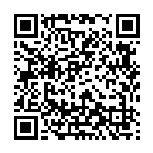 但是单单龙傲天轻描淡写的击败了蛇胤的几个手下之后二维码生成