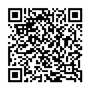 但是单论相貌和气质绝对是自己见过的女生中最为娇美的二维码生成