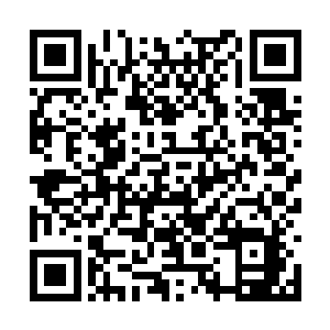 但是却也是柳国对木国的战争史上最为繁华的一篇二维码生成