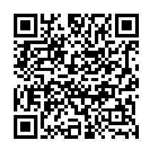 但是却是没想到最后林父林母竟然看上了她家隔壁的别墅二维码生成