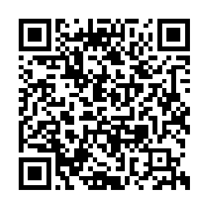 但是却没有想到如今遇到了一个会神通的混沌兽二维码生成