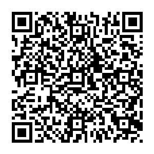 但是却相对平静的金河却忽然在一阵阵如同开水沸腾一般的响声中不断翻腾激涌了起来二维码生成