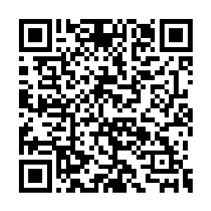 但是却被丁长生一个一掌砍在了勃颈上晕了过去二维码生成