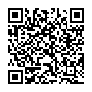 但是又不得不承认她清楚地记得每一次和他见面的场景二维码生成