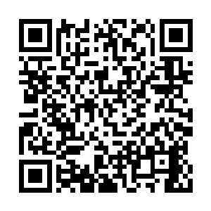 但是叶然竟然一年时间内就是成功开辟出了灵府二维码生成