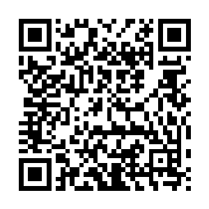 但是同样也证实了这位任公子却是不像外表表现出来的那么无害二维码生成