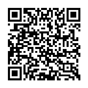 但是君上的心思向来不是属下可以过问和猜忌的二维码生成