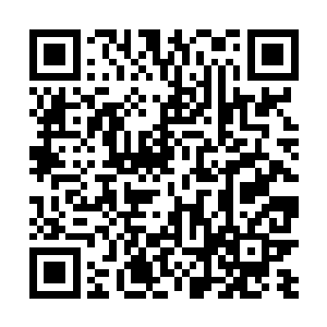 但是听声音也应该知道知道容丹枫差点要在这里杀人了二维码生成