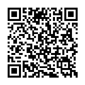 但是和公会不同的地方是财团主要的任务是赚钱二维码生成