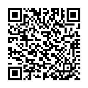 但是因为上一次苏墨尘来家里母女两人闹得很不愉快二维码生成