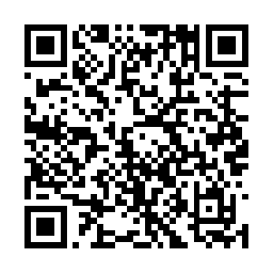 但是在不久的将来……我可能会陨落在位面大战中二维码生成