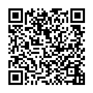 但是在凤之遥眼里却从来没有认为苏醉蝶有多么的美丽二维码生成